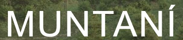 Muntani Logo